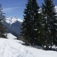 Joli terrain avec projet d’un chalet en résidence principale ## sur la piste de ski